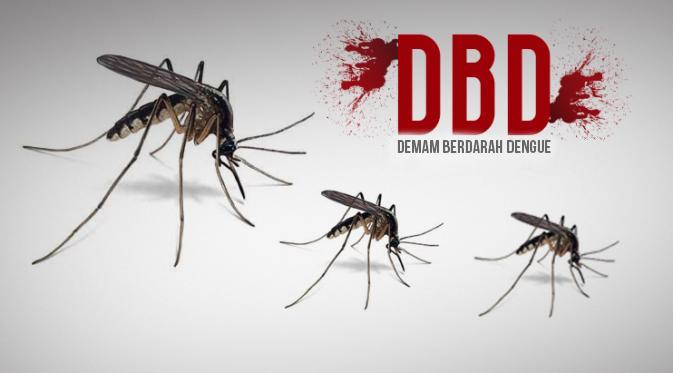 Bahaya, Indonesia Peringkat Dua Negara Endemis Demam Berdarah