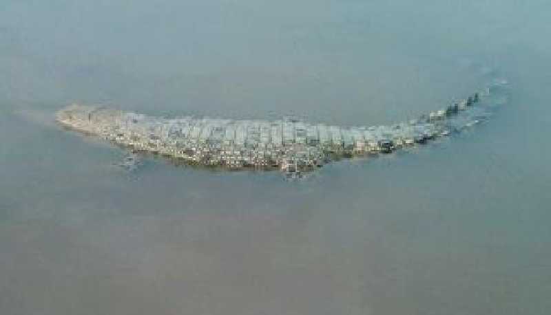 Banjir Surut, Buaya Malah Berkeliaran di Darussalam Rohul