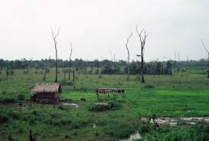 Banyak Lahan Tidur Milik Pertamina Terlantar di Sungai Pakning