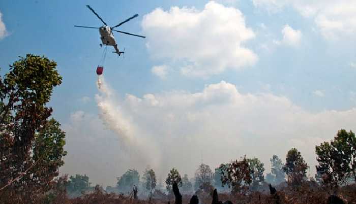 Bengkalis Diambang Kabut Asap, Hampir Semua Kecamatan 'Produksi' Titik Api
