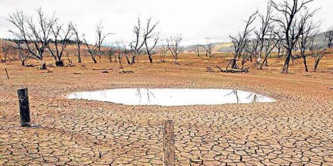 BNPB: Kekeringan Melanda Sebagian Sumatera