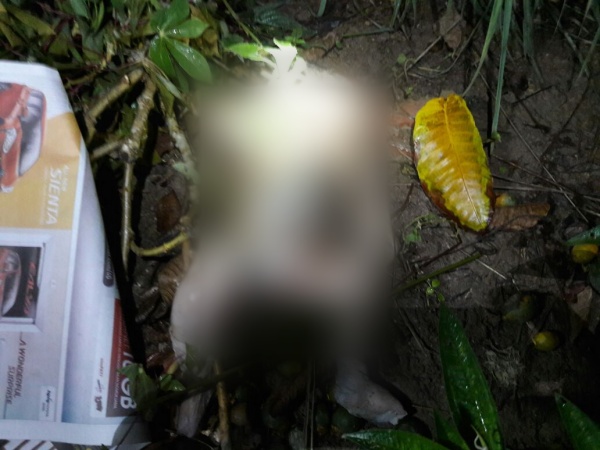 Penemuan Mayat Bayi di Dumai, Jasrun : Saya Kira Bangkai Binatang