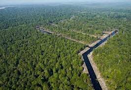 Gara-gara Batasan Area Tak Jelas, RAPP Disebut Klaim Lahan Milik Warga Merbau