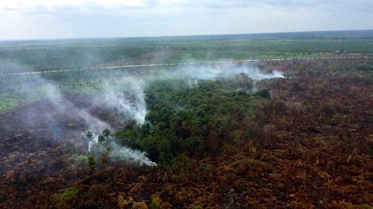 Gelar Apel Siaga Karhutla, Riau Dapat Bantuan Peralatan dari Kementerian LHK