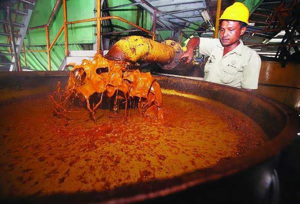 Harga Sawit Nyaris Tembus Rp2.000 per Kilogram