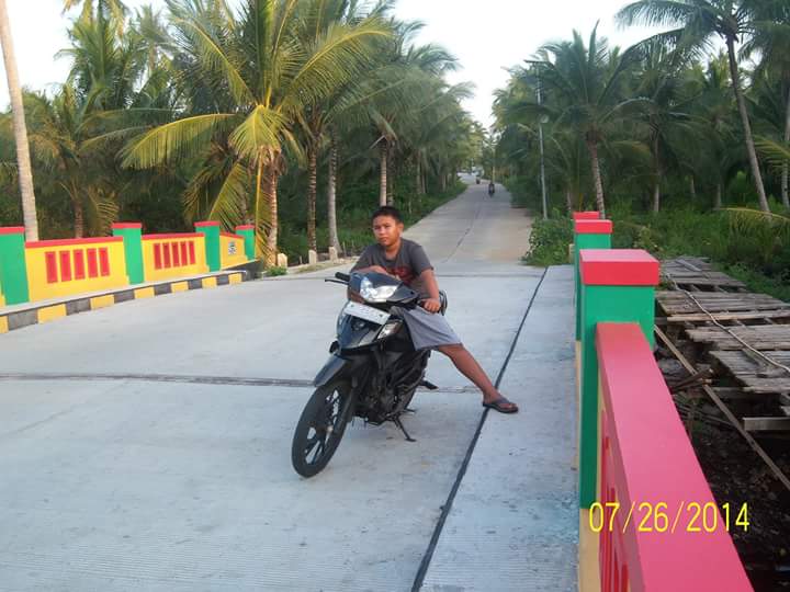 Ini Jalan Kecamatan Mandah Inhil Bikin Takjub