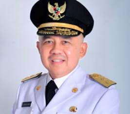 Ini Kata Gubernur Riau Soal Pelimpahan Kewenangan Kabupaten dan Kota ke Provinsi