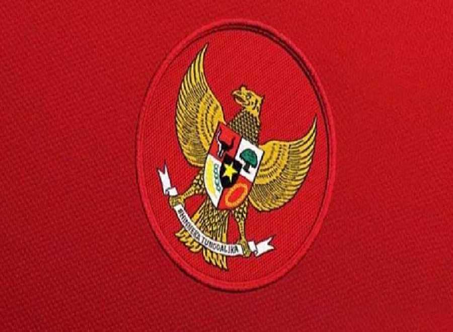 Jelang Piala AFF Indonesia Lawan Tim Kuat Vietnam, Ini Prediksinya