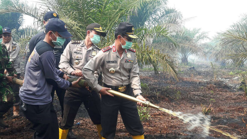 Karhutla di Rantau Bais Rohil, Kapolda Riau Ikut Padamkan Api