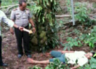 Karyawan Panen PT PSA Tertimpa Tandan Buah Sawit Hingga Tewas di Tempat