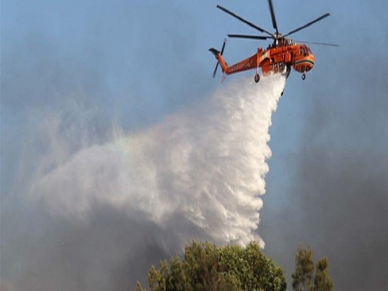Kebakaran Hutan di Wilayah Pesisir Pelalawan Belum Padam
