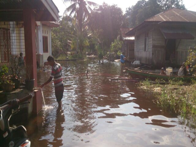 Kecamatan Pelalawan Dikepung Banjir Aktivitas Warga Mulai Terganggu