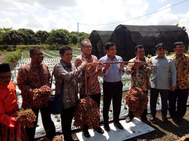 Kementan Dukung Kampar Lewat APBN