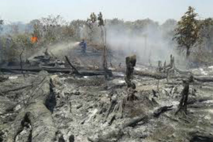 Mengapa Hutan Riau Terus Dijarah ? Ini Jawaban Firman Soebagyo