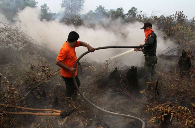 Menhut Meradang, Dengar PPNS Disandera Saat Lidik Karhutla