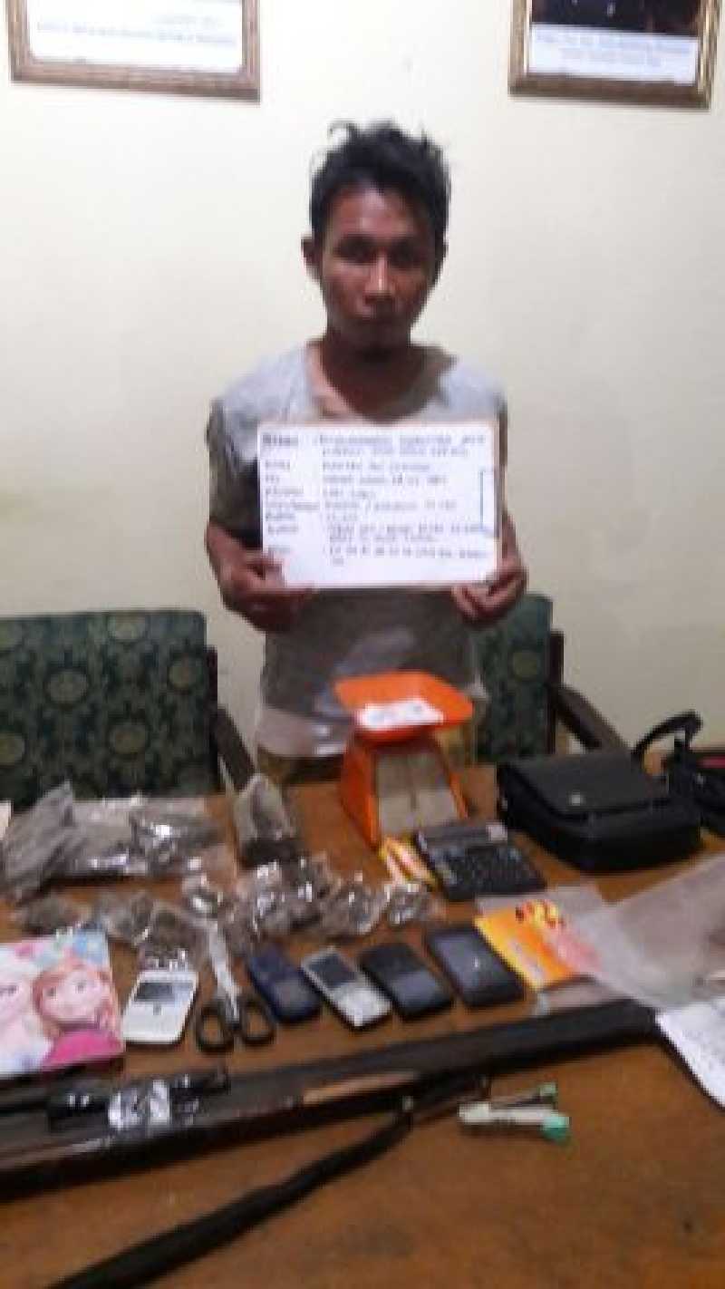 Nyambi Jual Ganja, Karyawan PT TBS di Kuansing Diciduk