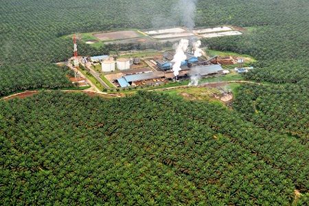 Operasi di Riau, Kok Bayar Pajaknya di Pusat?