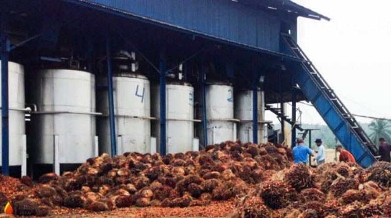 Pabrik Sawit di Bengkalis Ditutup Paksa, 4 Dinas Pasang Plang Penghentian Aktivitas