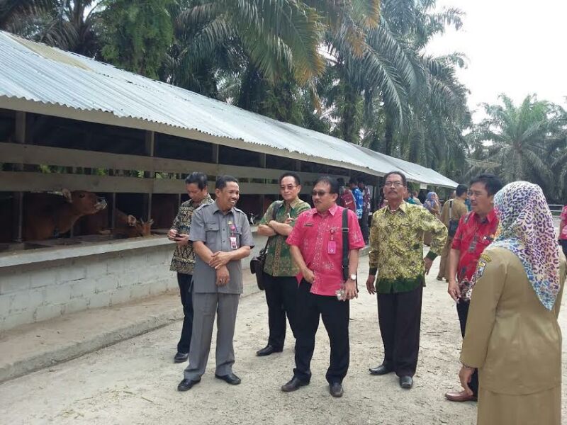 Pemkab Katingan Belajar Siska Dengan Pemkab Pelalawan