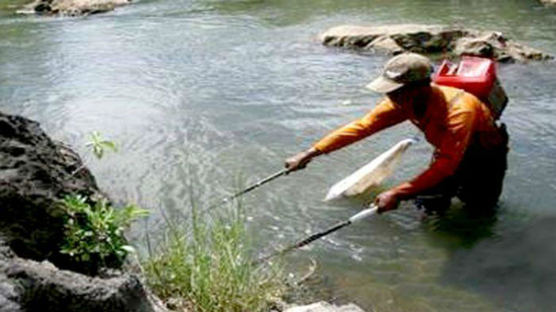 Penyentrum Ikan di Sungai Rokan Diminta Hentikan Aktivitas