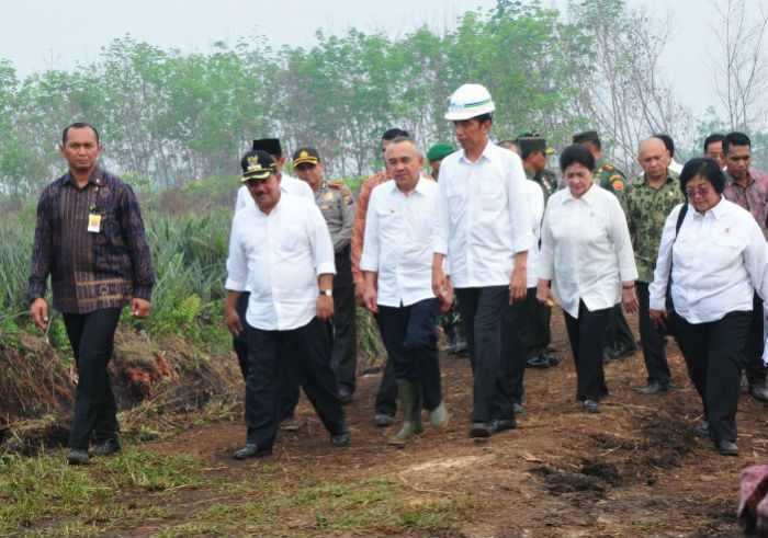 Peringatan Puncak HLH, Ini Agenda Presiden RI Joko Widodo di Riau