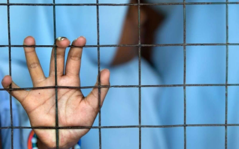 Perlukah Pendidikan Masuk Kurikulum Sekolah?