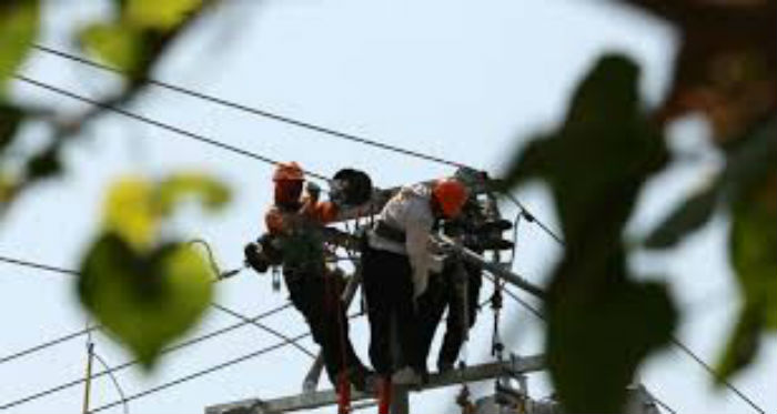PLN Rayon Bengkalis Lakukan Pemeliharaan Jaringan Listrik