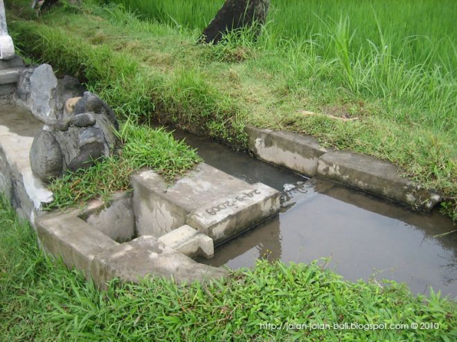 Plt Gubri : 80 Persen Saluran Irigasi Rusak