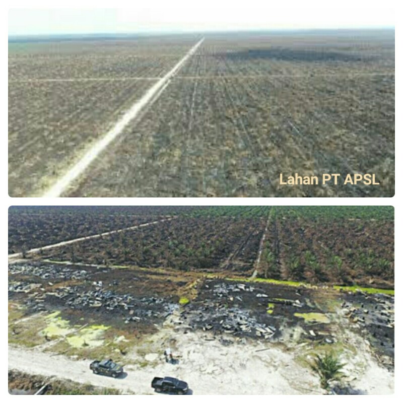Terkait Karlahut, Polda Riau Tinjau Lahan PT APSL di Rokan Hulu