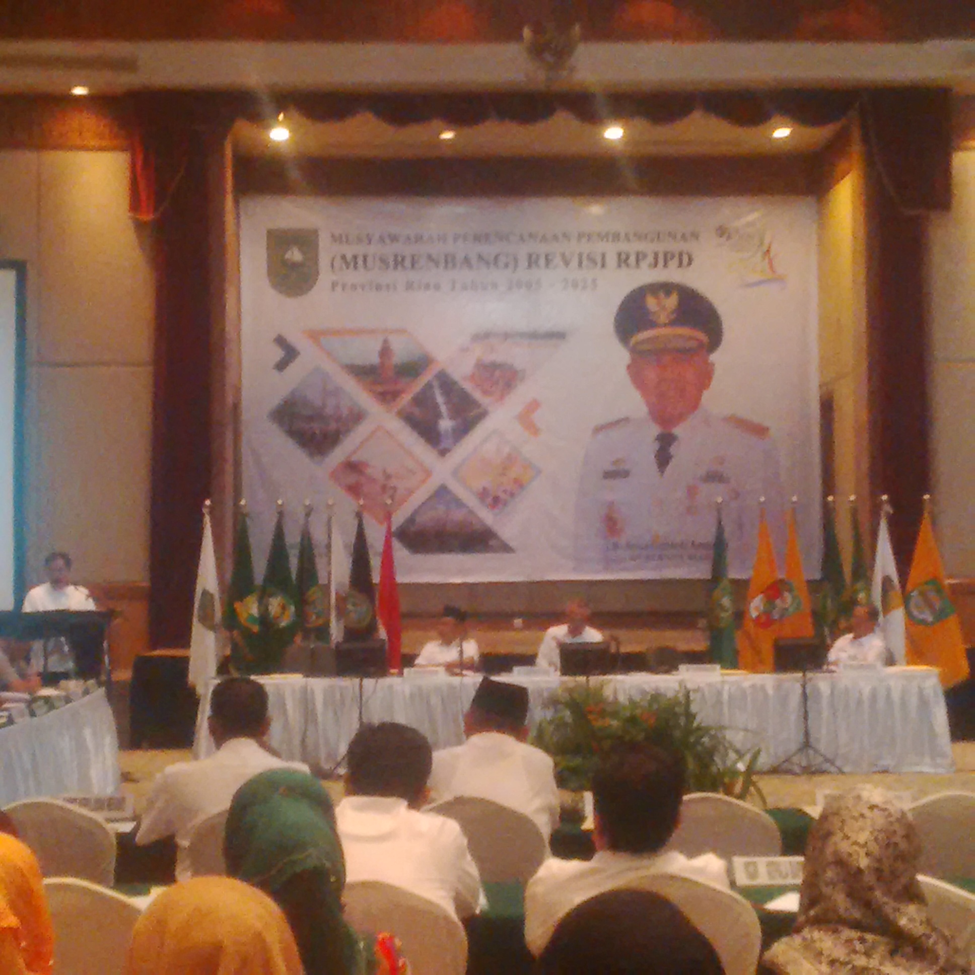 Revisi RPJPD Riau, Dirjen Bina Keuangan Daerah Beri Pemaparan