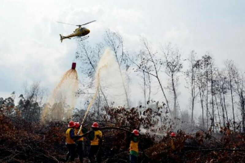 Riau Mulai Kering, Pembakaran Lahan Marak, Polusi Asap Kembali Mengancam