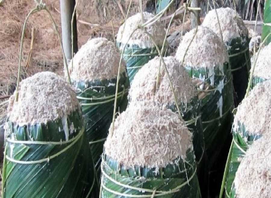 Riau Penghasil Sagu Terbesar di Indonesia Tapi Konsumsinya Baru 10 Persen