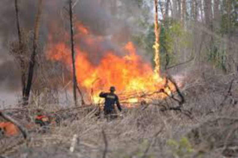 Satgas Police Line Lahan Karlahut di Rohil, Pemilik Dilarang Beraktivitas