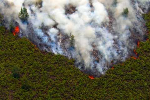 Siap-siap, Terpantau 18 Titik Panas di Riau