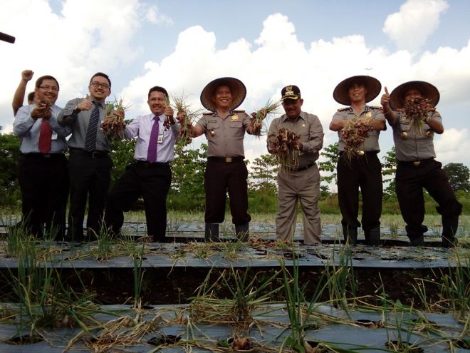 Sugiono Yakin 2 Tahun Swasembada 