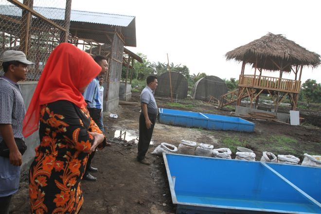 Surya: Budidaya Ikan di Kampar Patut Dicontoh