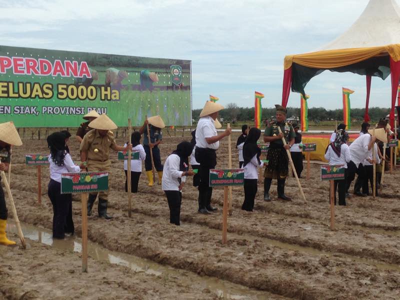 Tanam Perdana di Siak, Riau Menuju Swasembada Pangan