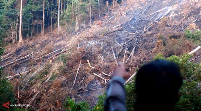 Titik Panas di Sumsel Terus Bertambah