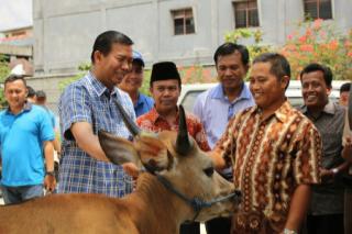 Walikota Pekanbaru Serahkan Hewan Kurban