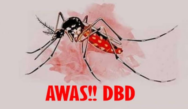 Waspada! DBD di Riau Tahun Ini Lebih Parah