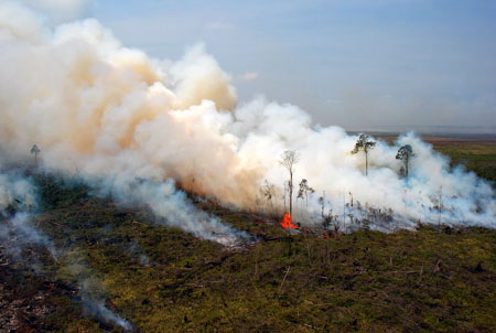 Waspada! Titik Api Bermunculan Di Riau